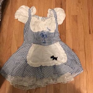 Wizard of Oz Dorthy costume
